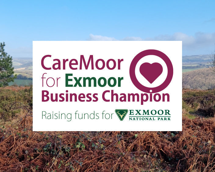 Why We're Supporting Wildflower Meadows on Exmoor