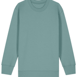 'Just the Turtle!' children's organic sweatshirt - Teal